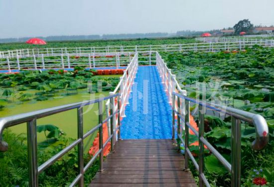 盐城金湖县荷花荡码头