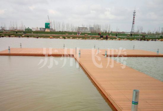 盐城荷兰花海T型舞台