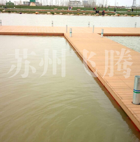 盐城荷兰花海T型舞台