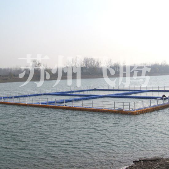 Anqing Yangtze finless por...
